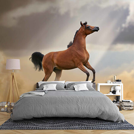 At Temalı Duvar Kağıdı