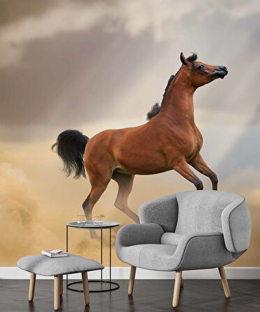 At Temalı Duvar Kağıdı