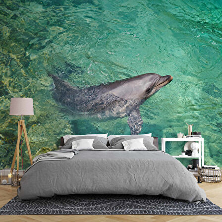 Deniz ve Yunus Balığı Temalı Duvar Kağıdı