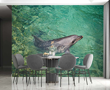 Deniz ve Yunus Balığı Temalı Duvar Kağıdı