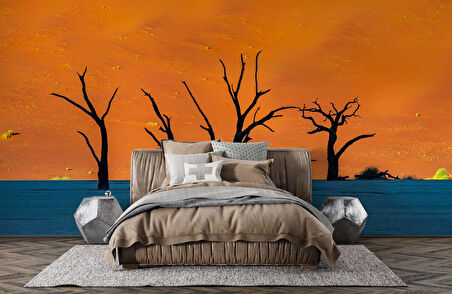 Gölge ve Ağaç Manzaralı Duvar Kağıdı