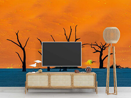 Gölge ve Ağaç Manzaralı Duvar Kağıdı