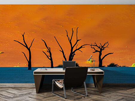 Gölge ve Ağaç Manzaralı Duvar Kağıdı