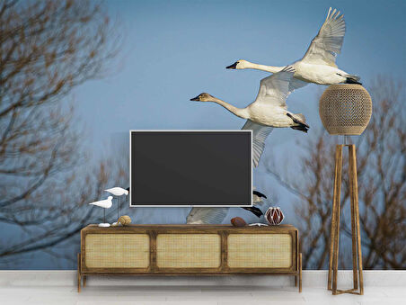 Leylek Göç Manzaralı Duvar Kağıdı