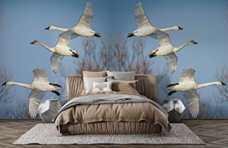 Leylek Göç Manzaralı Duvar Kağıdı