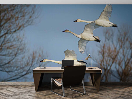 Leylek Göç Manzaralı Duvar Kağıdı