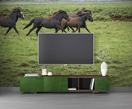 Kırsal ve At Manzaralı Duvar Kağıdı