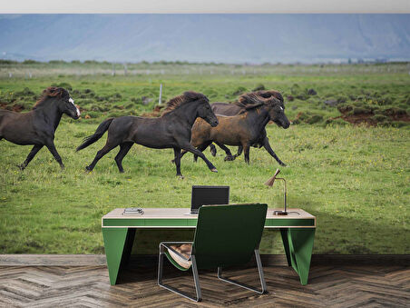 Kırsal ve At Manzaralı Duvar Kağıdı