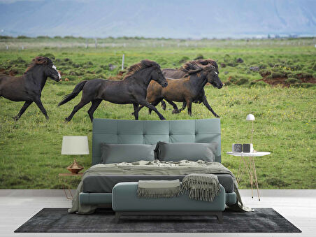 Kırsal ve At Manzaralı Duvar Kağıdı