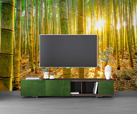 Bambu Ormanı Temalı Duvar Kağıdı