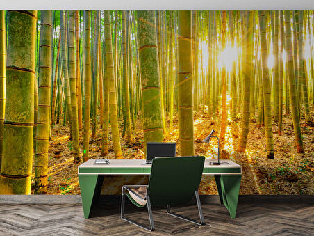 Bambu Ormanı Temalı Duvar Kağıdı