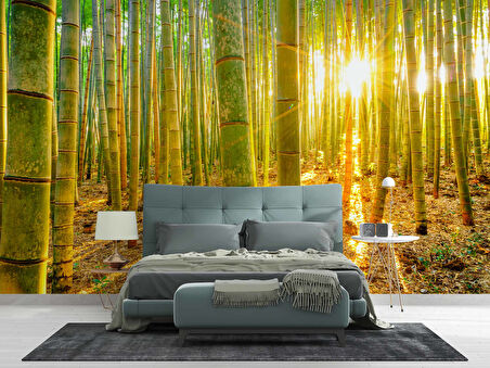 Bambu Ormanı Temalı Duvar Kağıdı