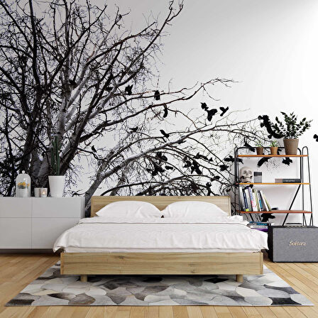 Gökyüzü Ağaç ve Kuş Manzaralı Duvar Kağıdı