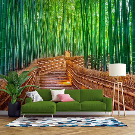 Bambu Ormanı Manzaralı Duvar Kağıdı