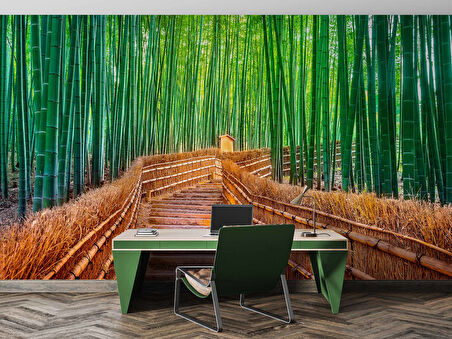 Bambu Ormanı Manzaralı Duvar Kağıdı