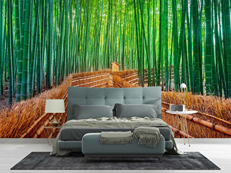 Bambu Ormanı Manzaralı Duvar Kağıdı