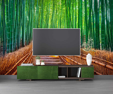 Bambu Ormanı Manzaralı Duvar Kağıdı