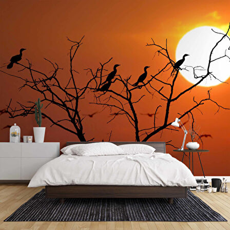 Günbatımı Ağaç ve Kuş Manzaralı Duvar Kağıdı