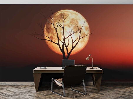 Günbatımı Ağaç ve Ay Manzaralı Duvar Kağıdı