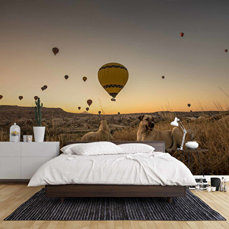 Günbatımı ve Sıcak Hava Balon Manzaralı Duvar Kağıdı