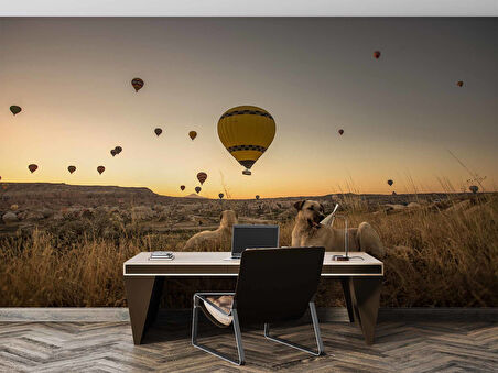 Günbatımı ve Sıcak Hava Balon Manzaralı Duvar Kağıdı