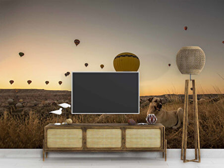 Günbatımı ve Sıcak Hava Balon Manzaralı Duvar Kağıdı