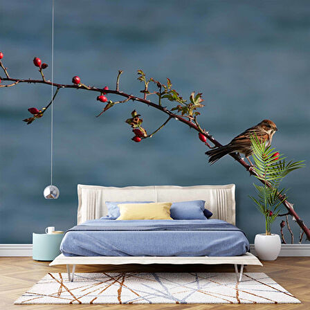 Gökyüzü ve Kuş Manzaralı Duvar Kağıdı