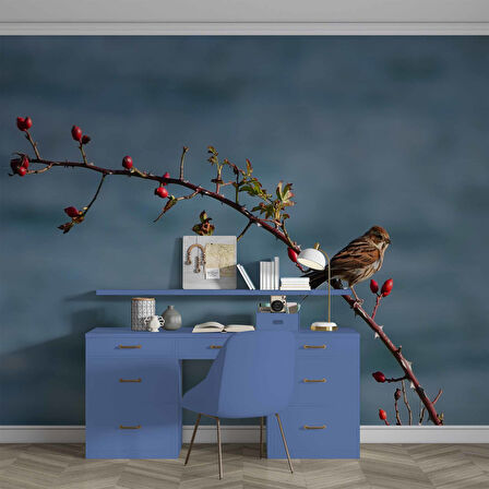 Gökyüzü ve Kuş Manzaralı Duvar Kağıdı