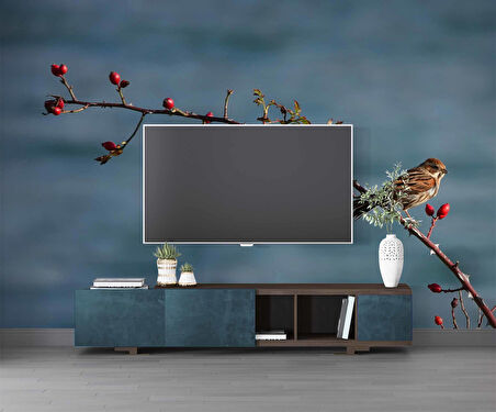 Gökyüzü ve Kuş Manzaralı Duvar Kağıdı