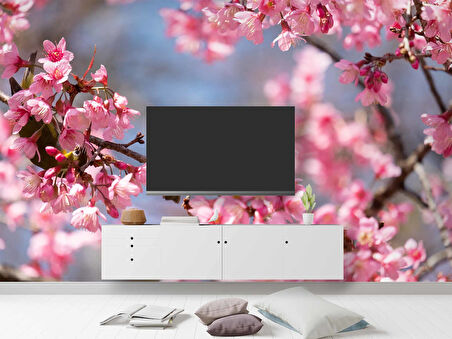 Pembe Çiçek ve Kuş Manzaralı Duvar Kağıdı