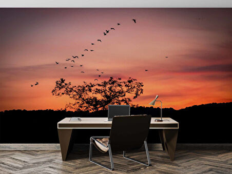 Günbatımı Ağaç ve Kuş Gölgesi Manzaralı Duvar Kağıdı