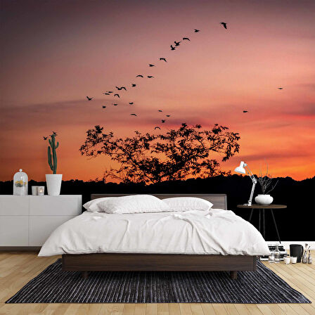 Günbatımı Ağaç ve Kuş Gölgesi Manzaralı Duvar Kağıdı