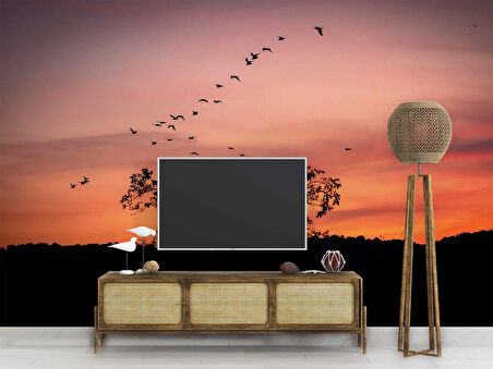 Günbatımı Ağaç ve Kuş Gölgesi Manzaralı Duvar Kağıdı