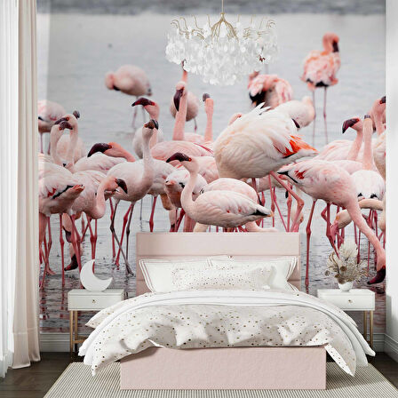 Deniz ve Pembe Flamingo Manzaları Duvar Kağıdı