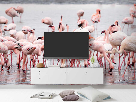 Deniz ve Pembe Flamingo Manzaları Duvar Kağıdı