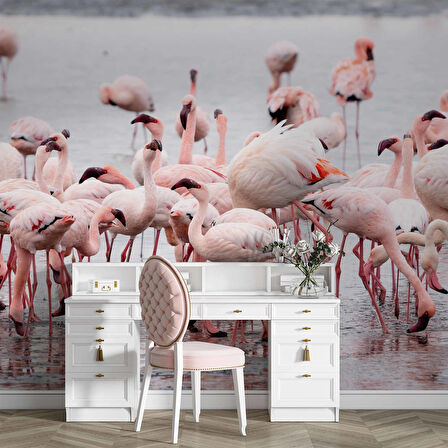 Deniz ve Pembe Flamingo Manzaları Duvar Kağıdı