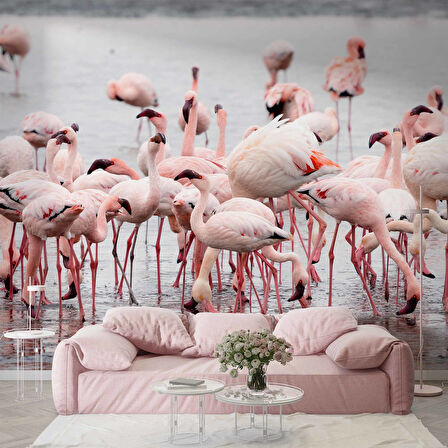 Deniz ve Pembe Flamingo Manzaları Duvar Kağıdı