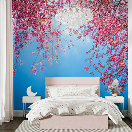 İlkbahar Gökyüzü ve Pembe Çiçek Manzaları Duvar Kağıdı