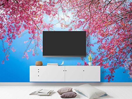 İlkbahar Gökyüzü ve Pembe Çiçek Manzaları Duvar Kağıdı