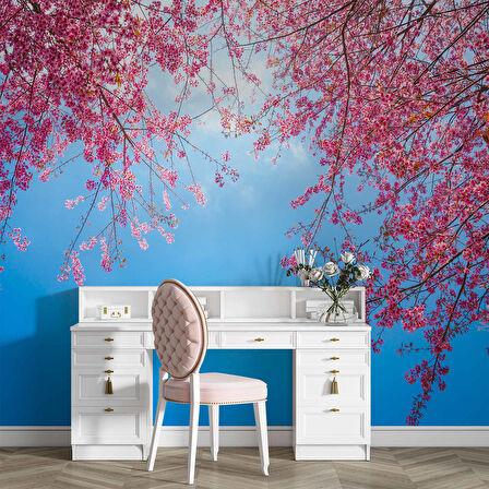 İlkbahar Gökyüzü ve Pembe Çiçek Manzaları Duvar Kağıdı