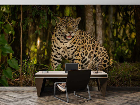 İstanbul Eminönü Manzaralı Duvar Kağıdı