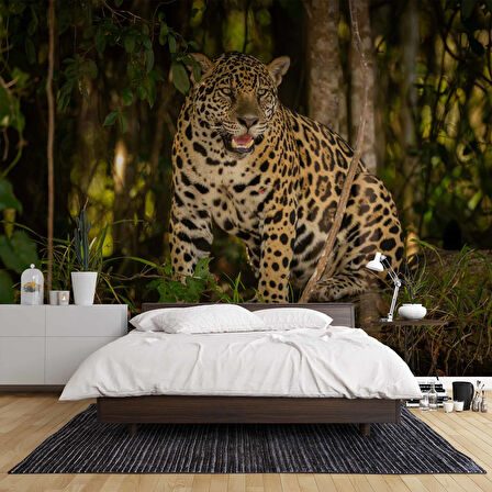 İstanbul Eminönü Manzaralı Duvar Kağıdı