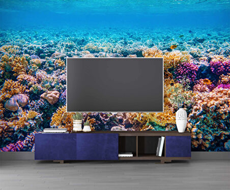 Akvaryum Mercan Manzaralı Duvar Kağıdı