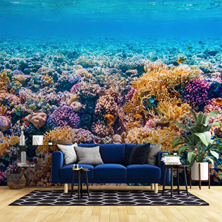 Akvaryum Mercan Manzaralı Duvar Kağıdı