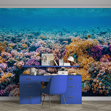 Akvaryum Mercan Manzaralı Duvar Kağıdı