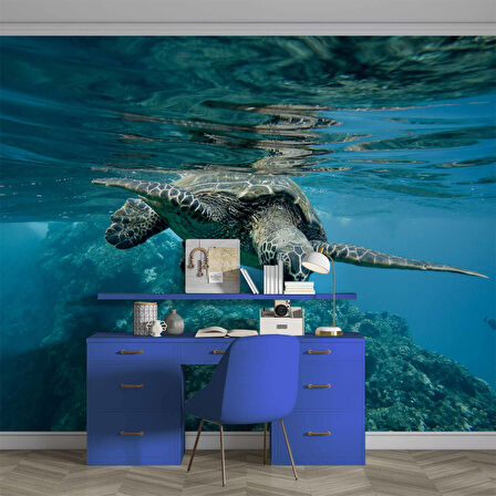 Denizaltı Kaplumbağ Manzaralı Duvar Kağıdı