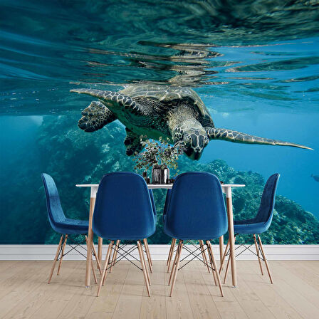 Denizaltı Kaplumbağ Manzaralı Duvar Kağıdı