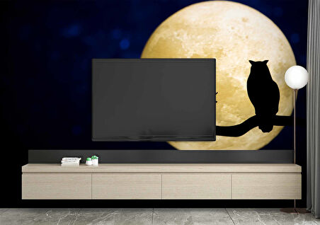 Gece Ay ve Baykuş Manzaralı Duvar Kağıdı