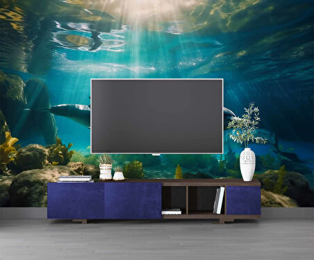 Denizaltı Yunus Balığı Manzaralı Duvar Kağıdı