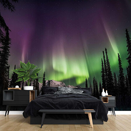 Gece Dağ ve Orman Kutup Işıkları Manzaralı Duvar Kağıdı